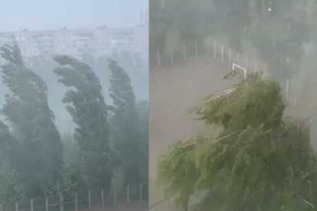На Харківщині ураган наробив лиха (відео)