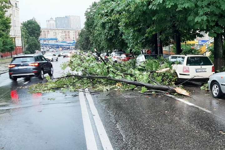 Наслідки негоди в Києві: кількість повалених дерев обчислюють сотнями (фото)