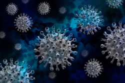 ВОЗ предупредила о распространении новых штаммов коронавируса