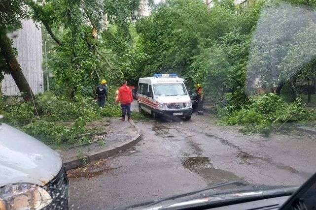 У Києві під час зливи впало близько 150 дерев