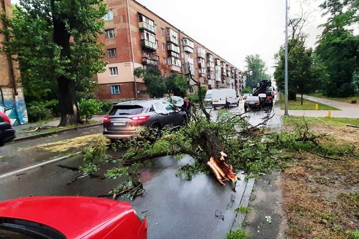 Київ підраховує збитки від негоди: повалено й пошкоджено майже 400 дерев (фото)
