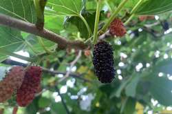 Фото зі сторінки Наталки Діденко