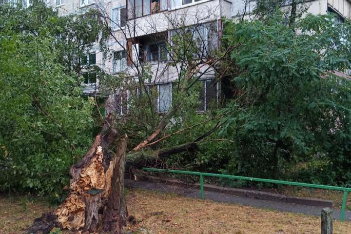 У Києві нічна гроза повалила дерево на багатоповерхівку (фото)