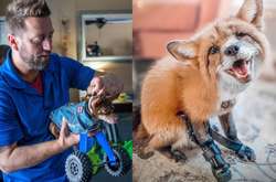 Изобретатель возвращает животным возможность ходить, создавая уникальные протезы