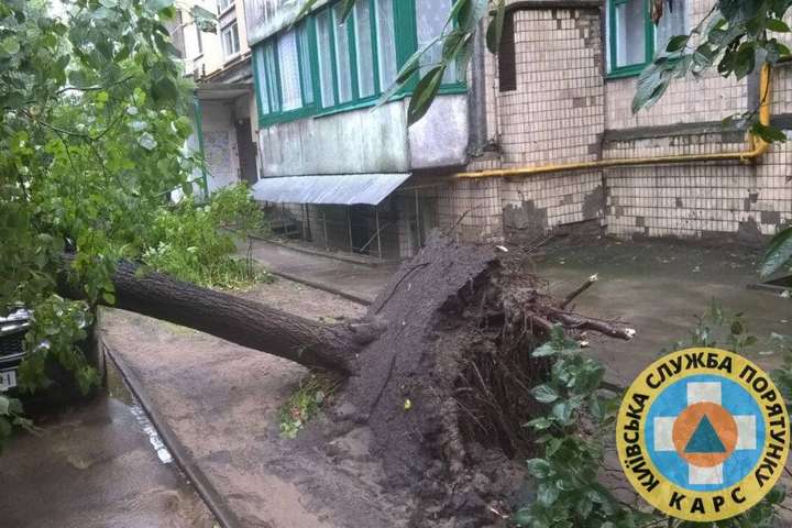 Дерева повивертало з корінням: київські рятувальники ліквідовують наслідки негоди (фото)