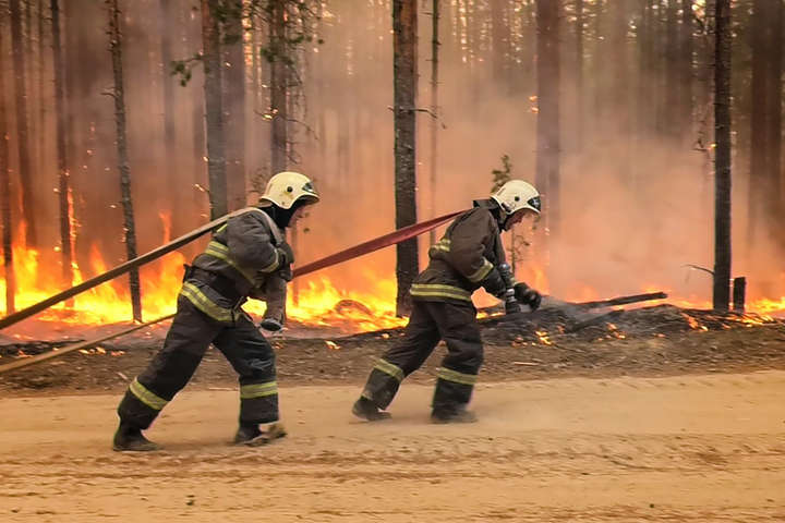 Горять ліси. В Карелії оголосили режим надзвичайної ситуації (фото, відео)