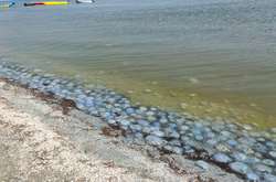 «Пекельна відпустка»: у Генічеську люди бояться купатися в морі через нашестя медуз (фото)