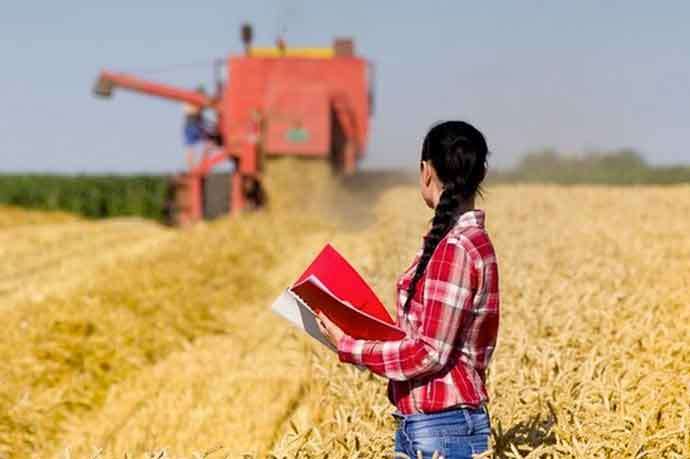 Зеленський підписав закон про агрострахування для підтримки сільгоспвиробників