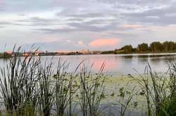 Сухо, сонячно і не спекотно: прогноз погоди на 23 липня