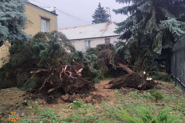 На территории Украины 21 июля в результате падения деревьев погибли два человека и семь человек с травмами разной степени тяжести госпитализированы - В Украине разыгралась стихия: два человека погибли, еще семеро травмированных