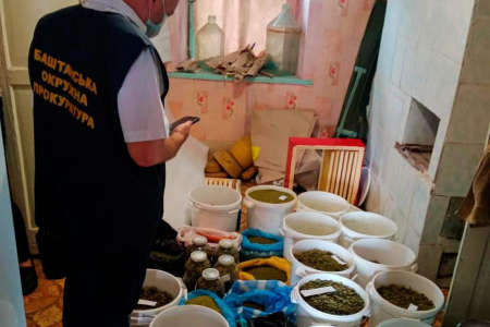 Поліція знайшла на Миколаївщині «врожай» конопель на 8 млн грн 