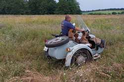 На Черкащині господар катає п'ятьох собак на мотоциклі (фото, відео)