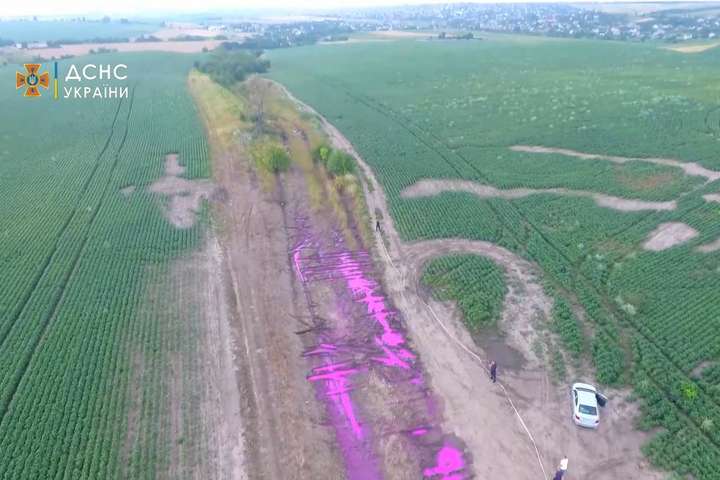 Рятувальники розкрили загадку рожевих калюж на полі під Рівним (відео)