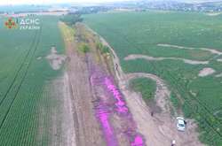 Рятувальники розкрили загадку рожевих калюж на полі під Рівним (відео)