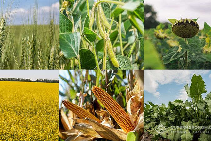  Україна – один із п’яти найбільших експортерів сільськогосподарської продукції до ЄС