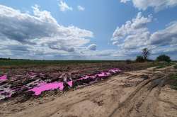 У поліції відкрили кримінальне провадження через рожеві калюжі біля Рівного