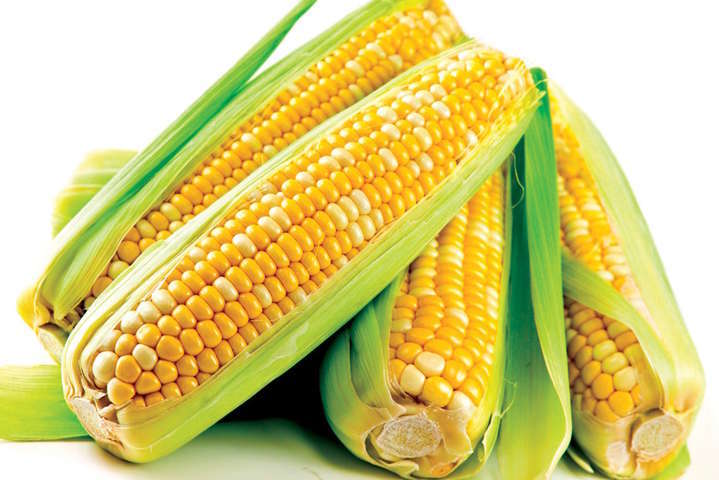 Специалист рассказал, сколько ГМО в украинской кукурузе с рынка и супермаркета