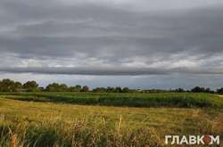 Рынок земли. Стало известно, в какой области продали больше всего участков