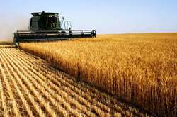 Україна посідає п’яте місце серед найбільших експортерів сільгосппродукції до ЄС