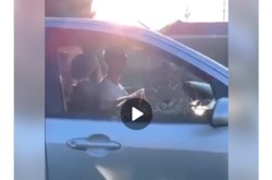 В Одесі леопарда покатали в авто (відео)