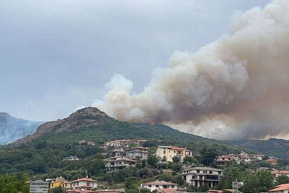 Італію охопили масштабні лісові пожежі: горять Сардинія і Сицилія 