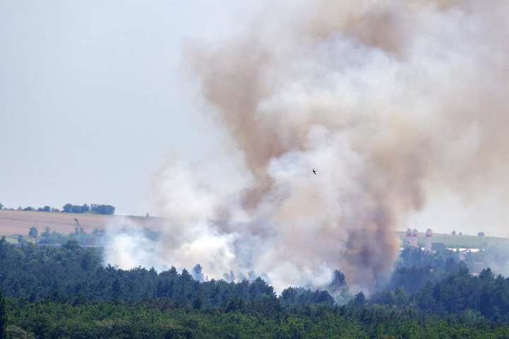 На острові Хортиця спалахнула масштабна пожежа (фото)
