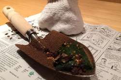 Когда пришел в ресторан за угощением, а получил порцию культурного шока. Курьезные фото