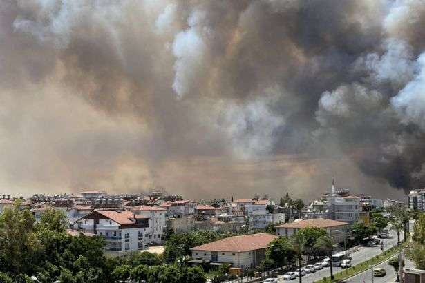 В Анталії вирують лісові пожежі. МЗС з’ясовує, чи є серед постраждалих українські туристи