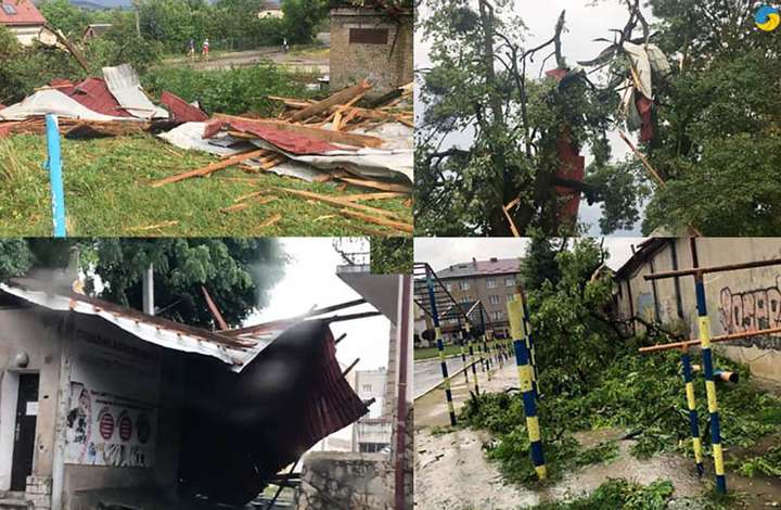 Ураган на Львівщині виривав дерева з корінням та перекидав авто (фото, відео)