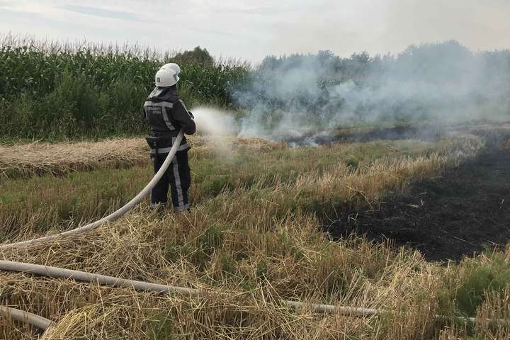 Ситуація з пожежами загострюється: Київщина посилює заходи безпеки