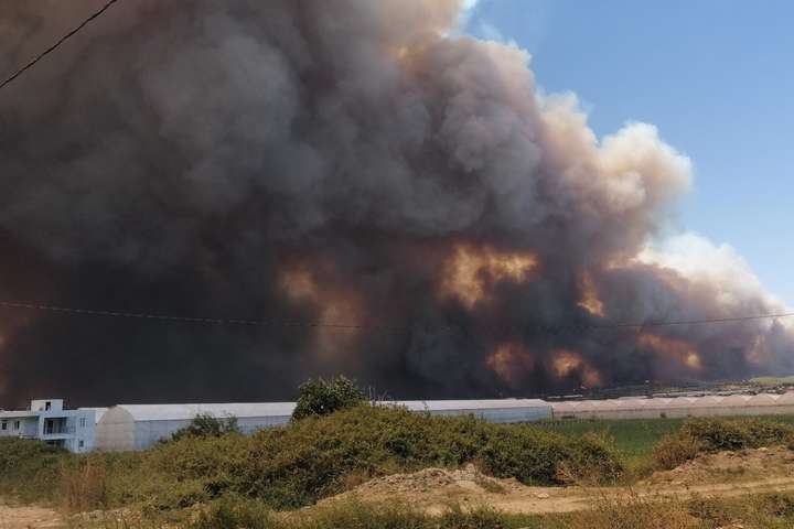 У Туреччині зросла кількість жертв лісових пожеж