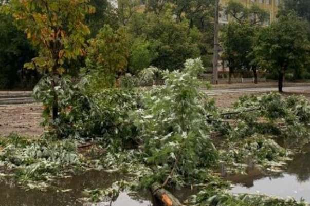 Негода у Сєвєродонецьку поламала дерева та обірвала дроти (фото)