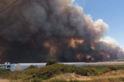 В Турции возросло число жертв лесных пожаров