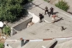 У Харкові чоловік влаштував бійку з поліцейськими на даху будинку (відео)