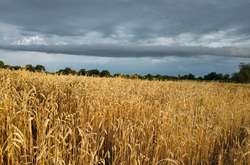 Синоптики розповіли, якої погоди чекати в серпні