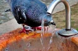 У липні в Києві тривала аномальна спека