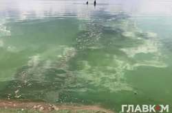 Где в Украине нельзя купаться. Минздрав обнародовало список опасных пляжей