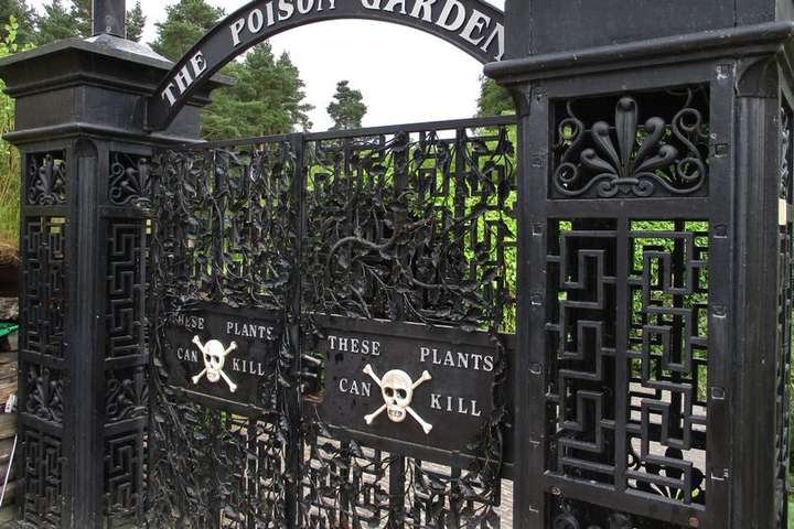В Англії росте найсмертоносніший сад у світі (відео)