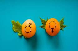 Будут ли в школах уроки сексуального воспитания – комментарий министра образования