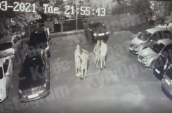 У Києві сталася бійка з різаниною (відео)