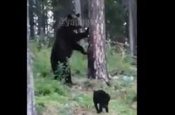 Незважаючи на розміри опонента, Вася не відступав