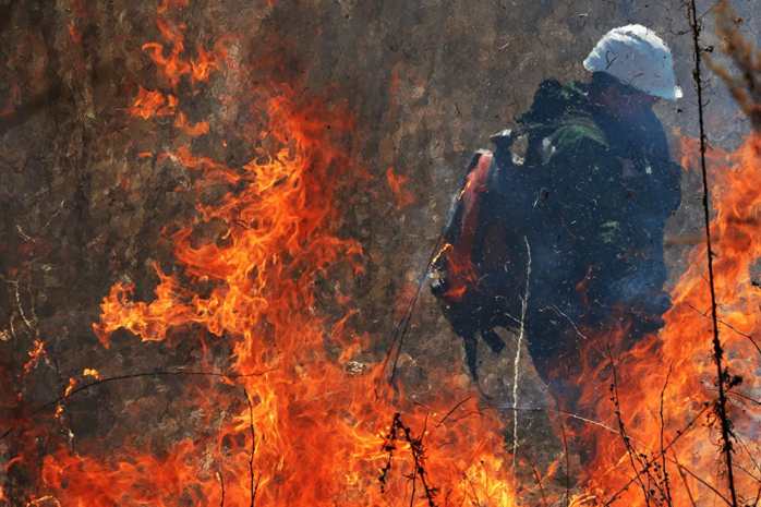 Влада Росії не може впоратися з пожежами: палає майже мільйон гектарів лісів