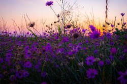 Циклон принесе шквали та грози: прогноз погоди на 6 серпня