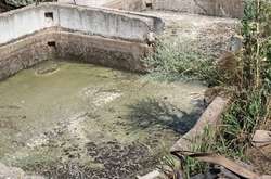 Підприємство забруднює земельну ділянку стічними водами