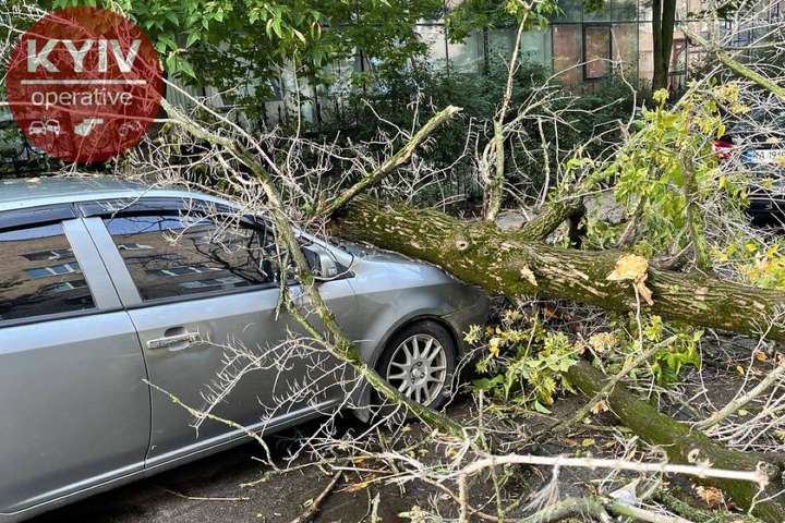 Наслідки нічної грози в Києві: вітер повалив дерево на автівку (фото)