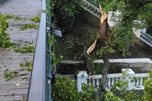 Ураган повикорчовував дерева в Кам'янці-Подільському (фото) 