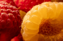 11 августа: какой сегодня праздник, приметы и запреты