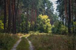 Місцями погода буде дуже комфортною