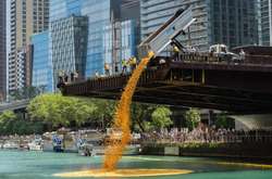 У Чикаго скинули в річку 70 тисяч резинових качок 
