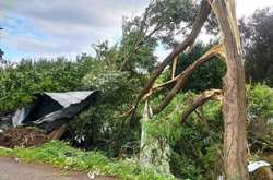  Торнадо розбивав вікна, вивертав дерева й пошкоджував будівлі  